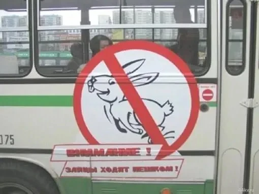 😳 Больше 400 «зайцев» поймали в автобусах Челябинска