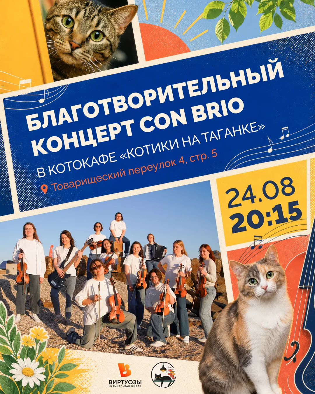 24 августа играем благотворительный концерт для спасения котиков 🐾🎶