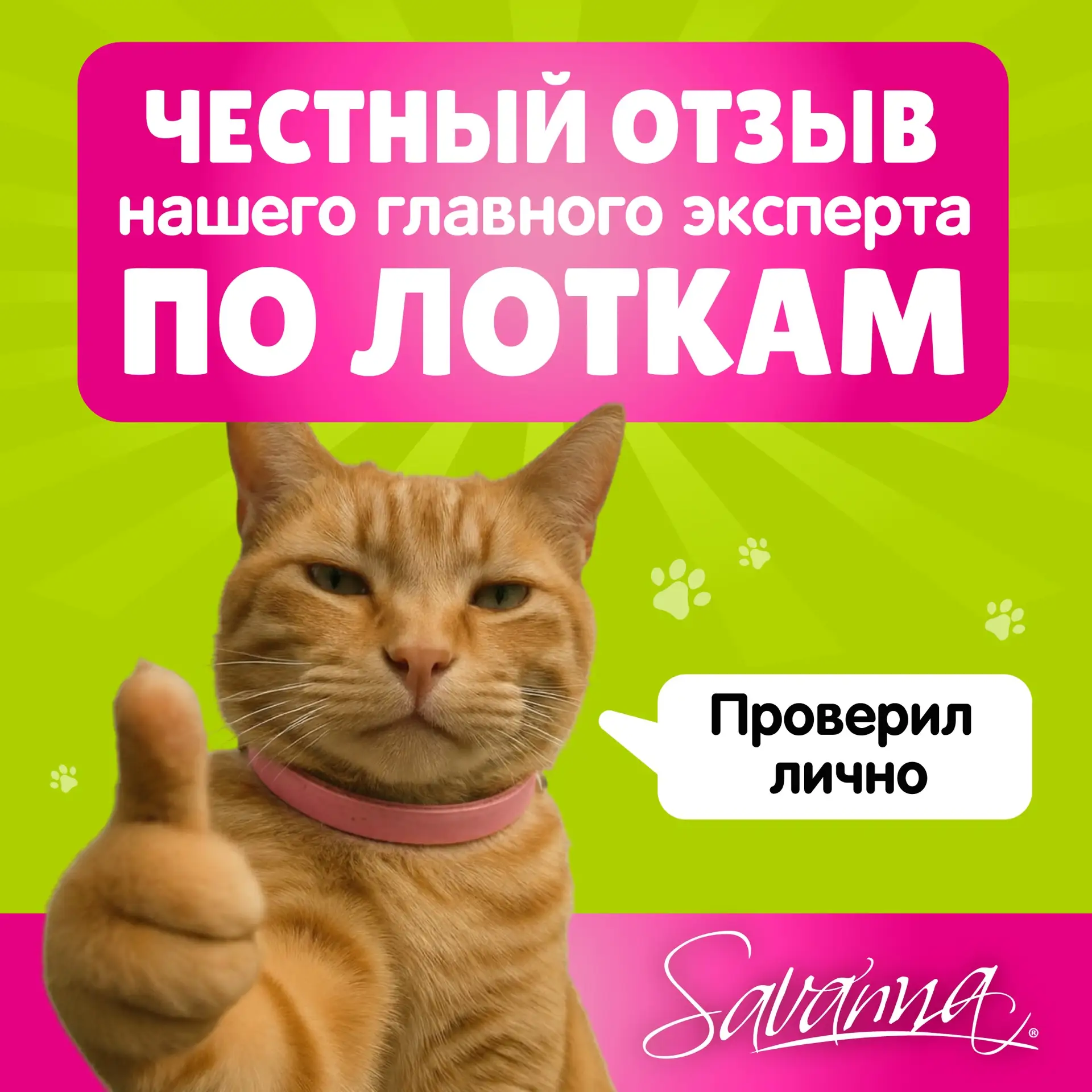 Какой наполнитель выбрал бы ваш кот, если бы мог сам сходить за покупками? 😸

Savanna — это наполни
