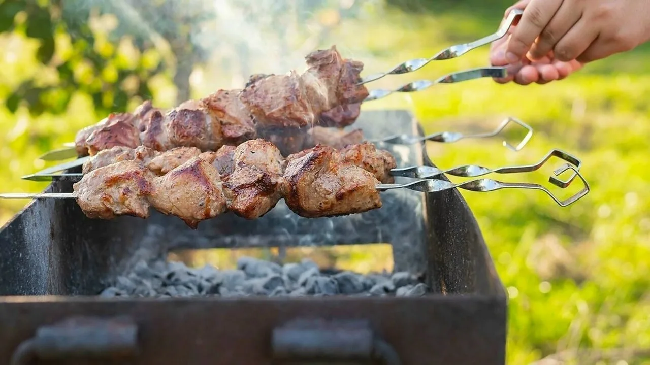 🥩 Дождались: шашлыкам быть! На Урале наконец-то отменяют особый противопожарный режим

После трех н