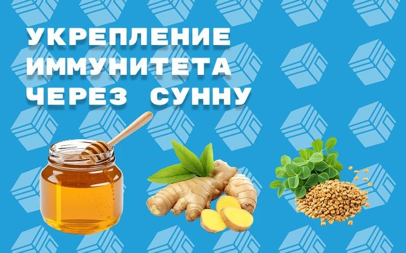 Укрепление иммунитета через сунну

В сезон простуд многие ищут защиту в аптеках, но лучшие средства 