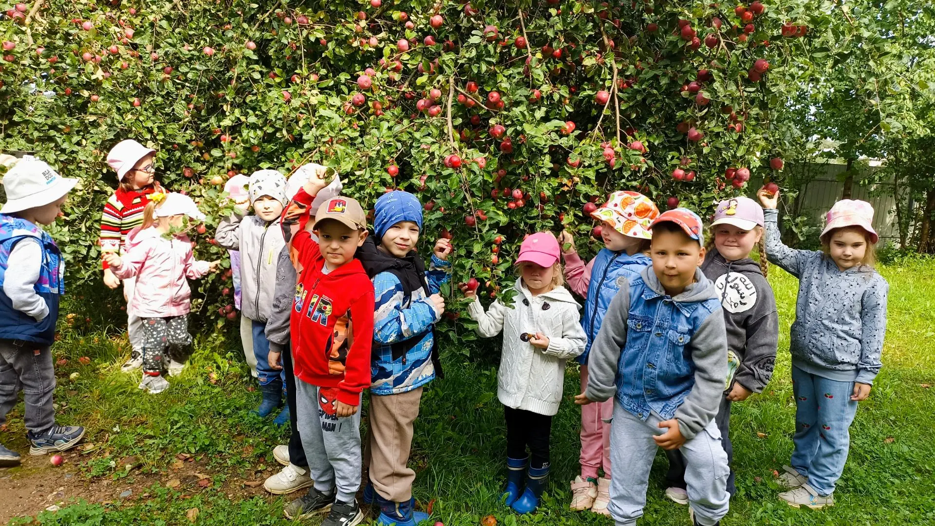 🍎🍏Сегодня у нас в садике по-настоящему вкусный и светлый день — празднуем Яблочный Сп...