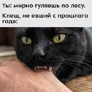 Клещи атакуют оренбуржцев: пострадали уже больше 1,6 тысячи человек. 

После укусов клещей за медпом