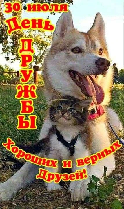 🌹Радость в Каждом Дне

🕊️Спасибо за реакции♥️