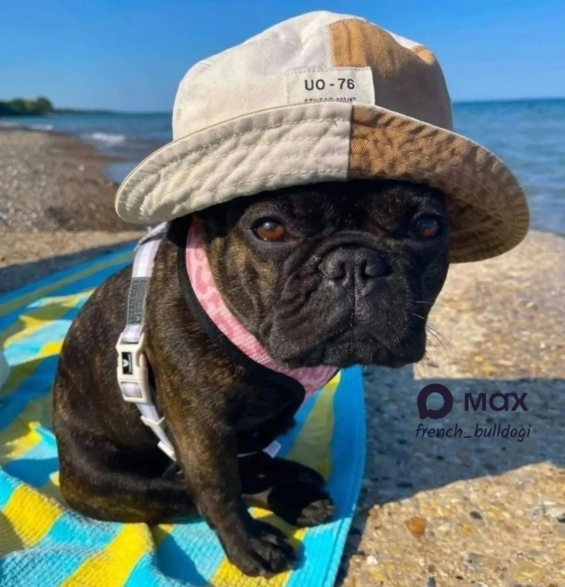 Отдых на море - это весело, говорили они. 😁