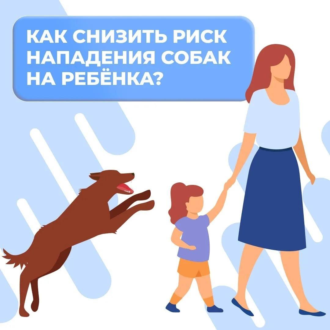 🐕 Как снизить риск нападения собак на ребенка?

Родителям важно объяснять детям, что бродячие и нез