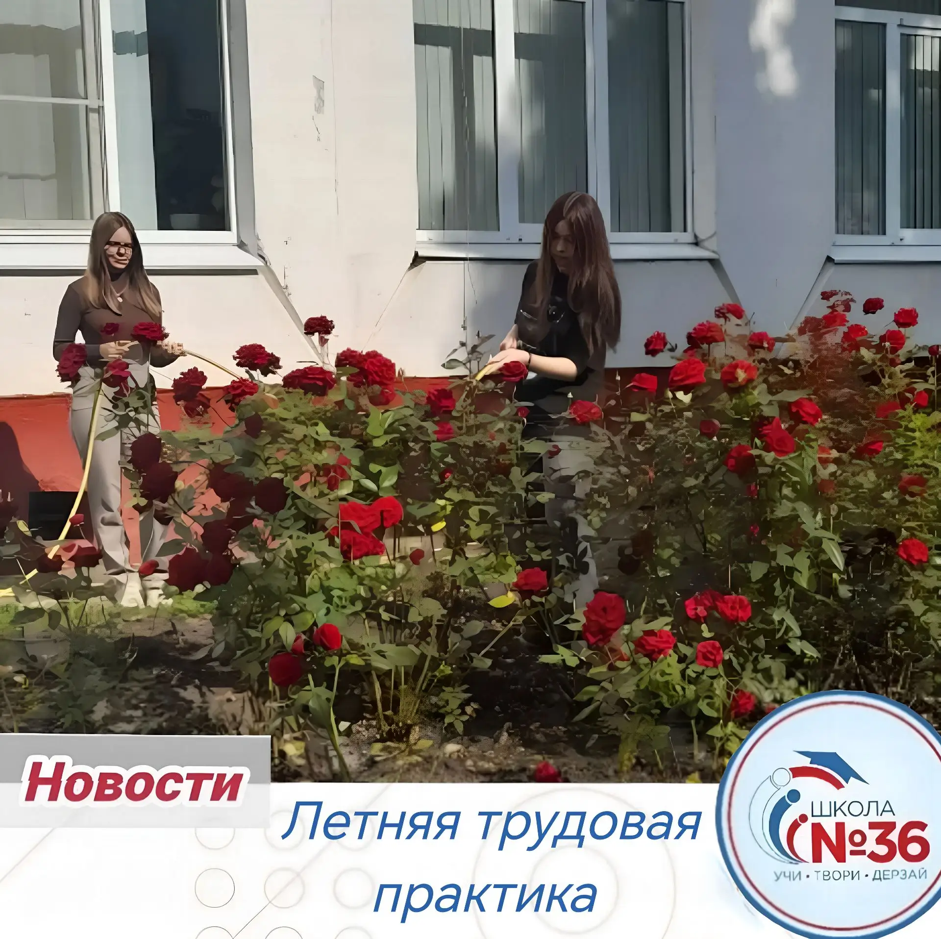 🌸 Продолжается летняя трудовая практика в нашей школе! 🌿