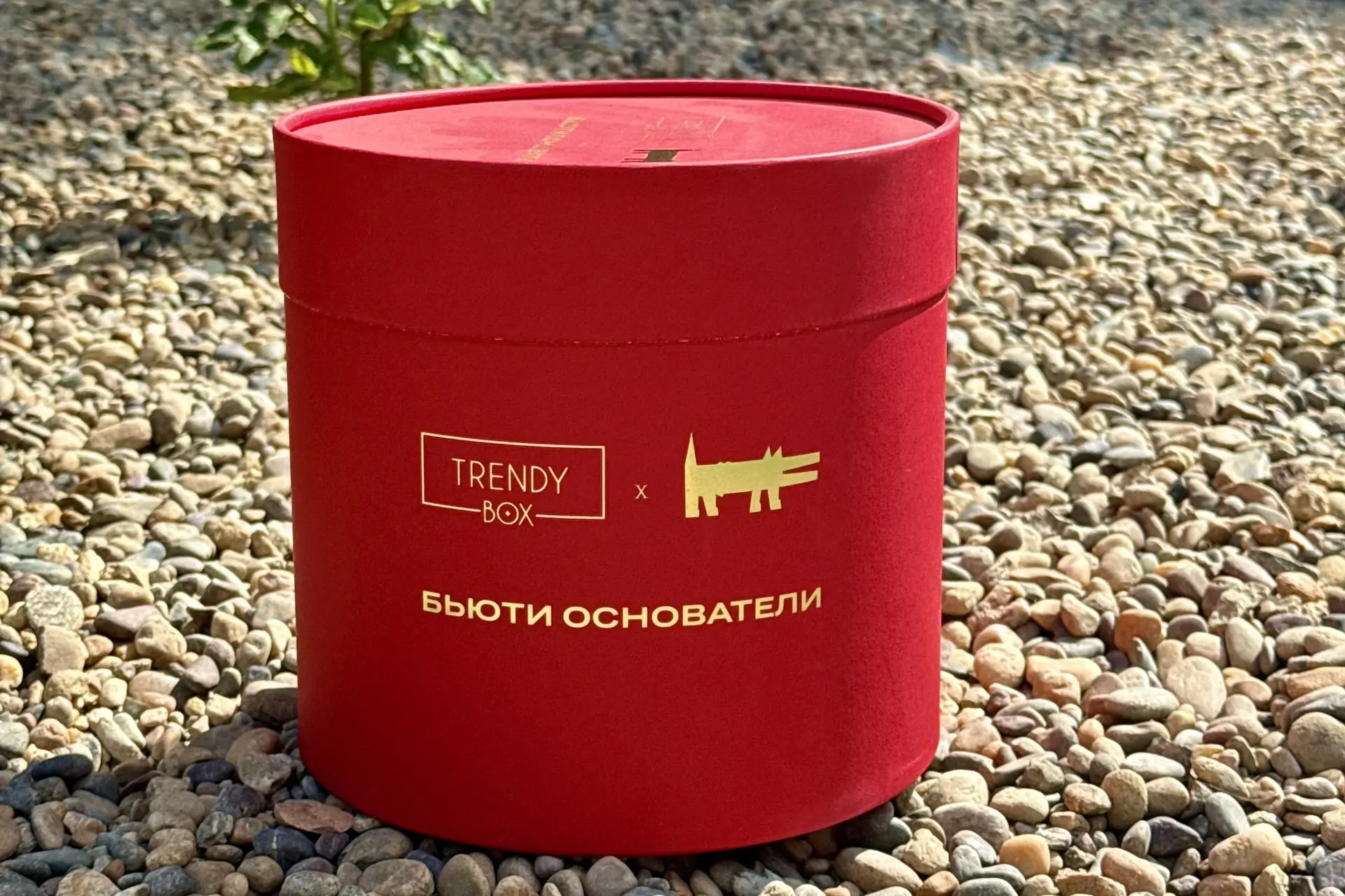 Девчата, у меня тут новый боксик от Trendy Box Бьюти основатели ❤️‍🔥

Это просто вау, посмотрите то