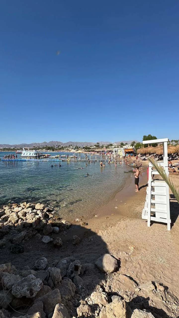 Мои туристы сейчас отдыхают в SWISS HOTEL SHARM 5* и присылают такие красивые кадры 😍

Именно поэто