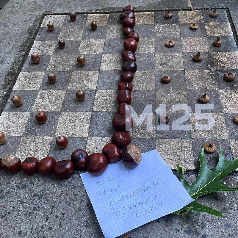 Милота: на ВДНХ рядом с павильоном 22 в шашки играют каштанами