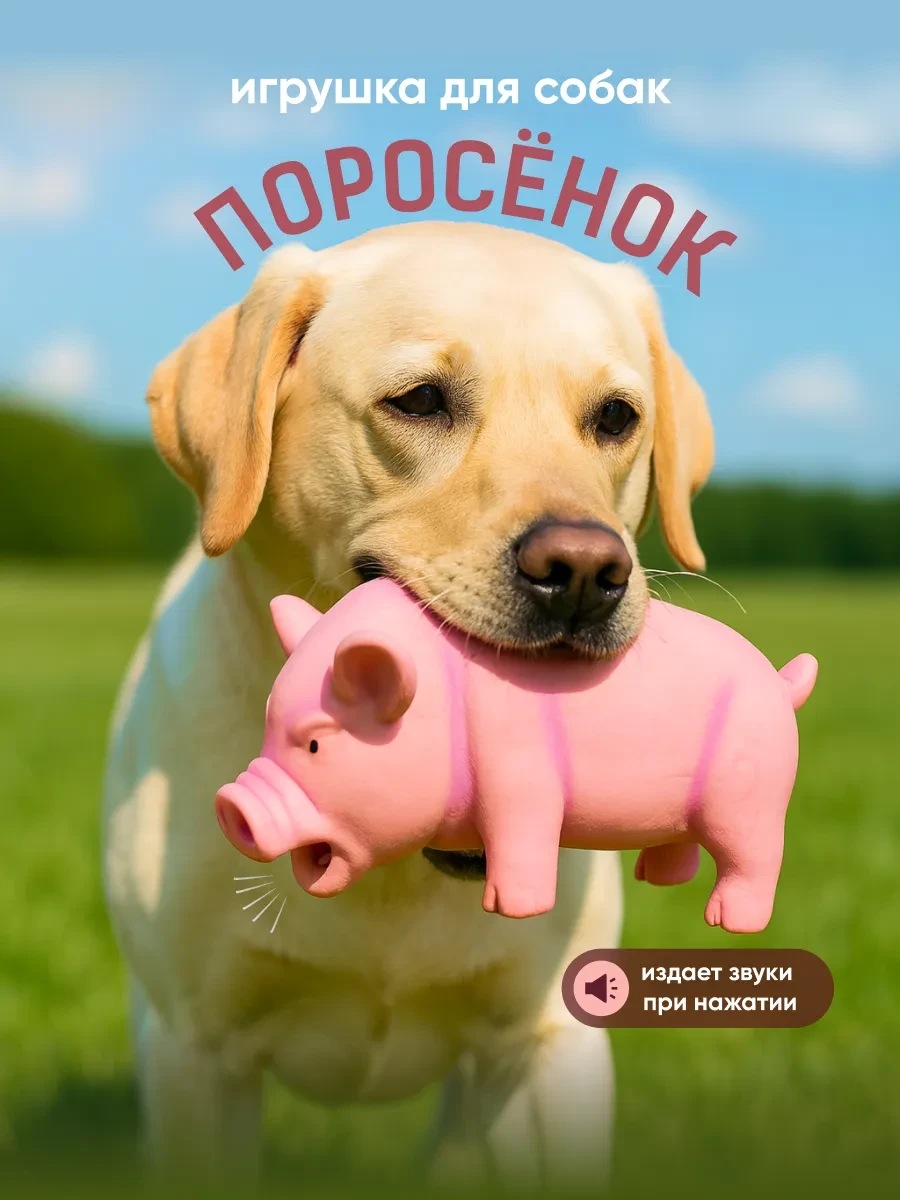 ⚡️ Пищалка игрушка для собак резиновая свинья хрюкающая, SSY
