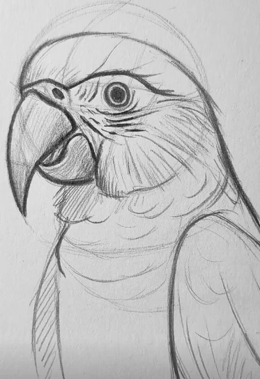 Рисуем попугая 🦜

Нравится рисунок?
даа - 🔥
сложно - 💔

Напиши в комментариях, что рисуем следующ