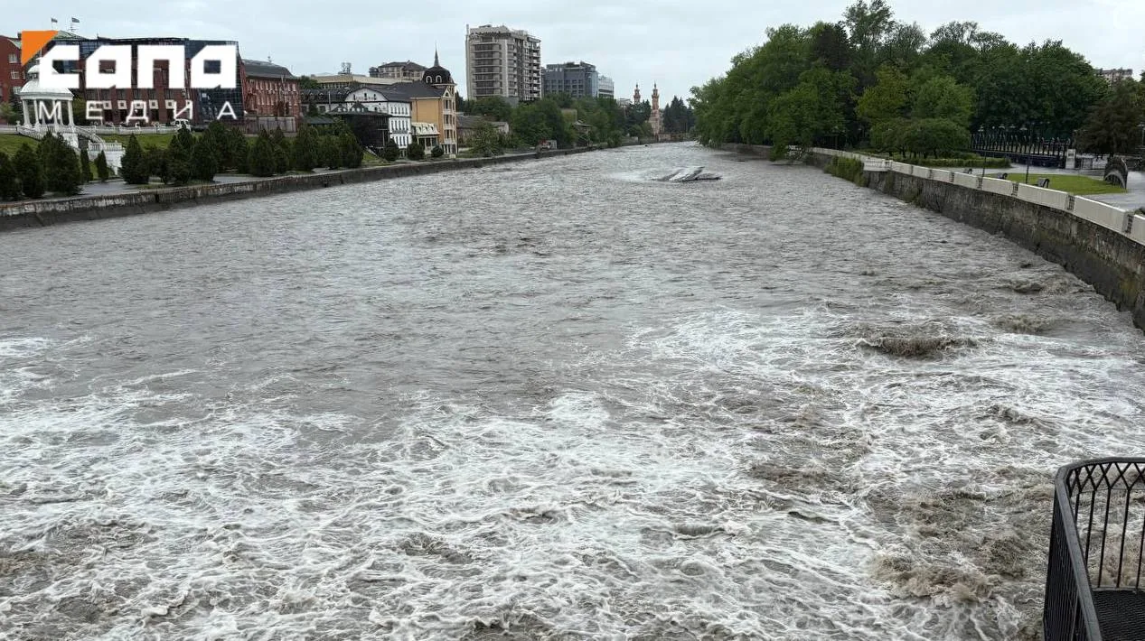 Уровень Терека во Владикавказе растет  Жители города заметили, что за выходные уровень воды в главно