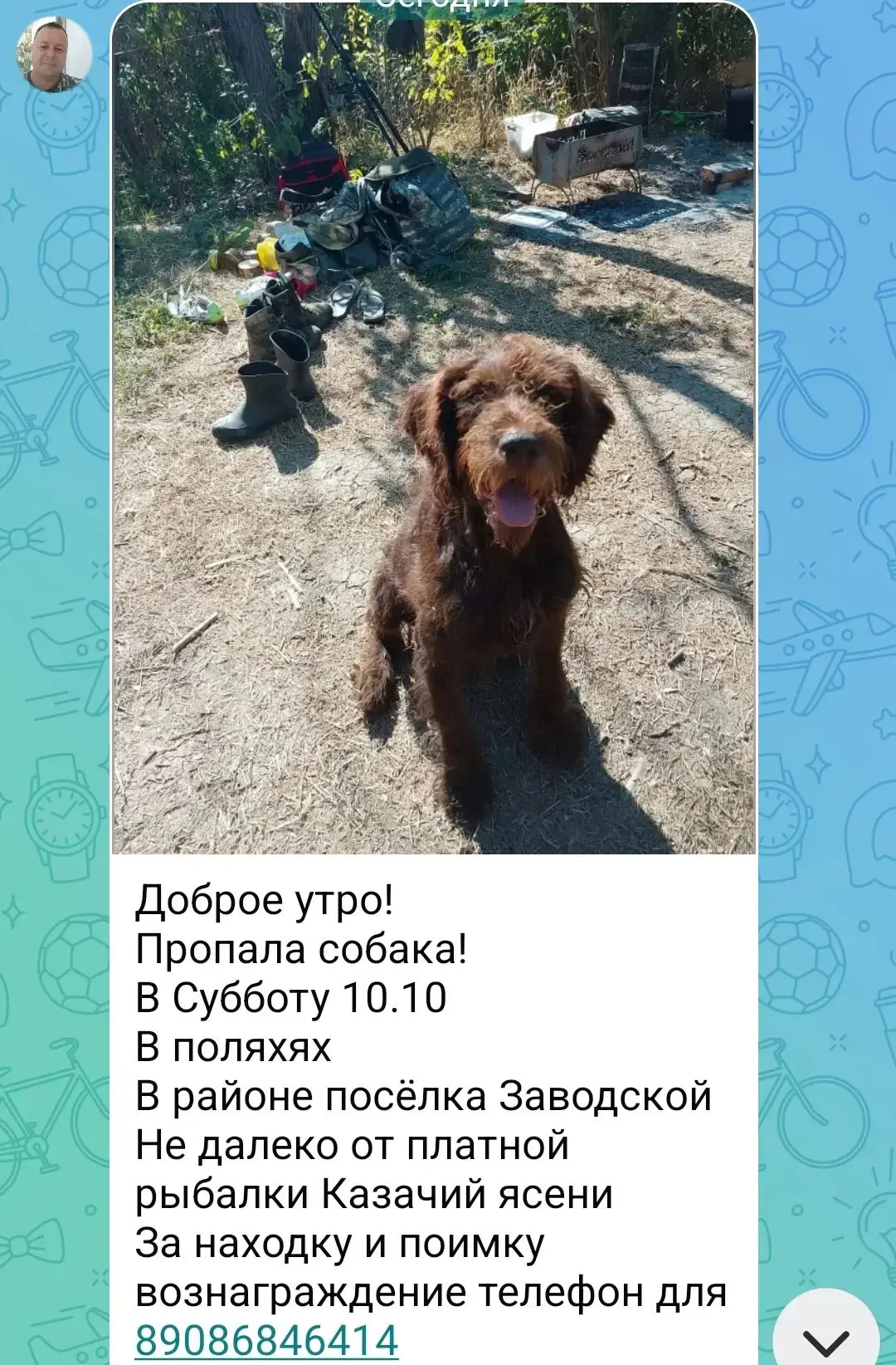 Здравствуйте!
