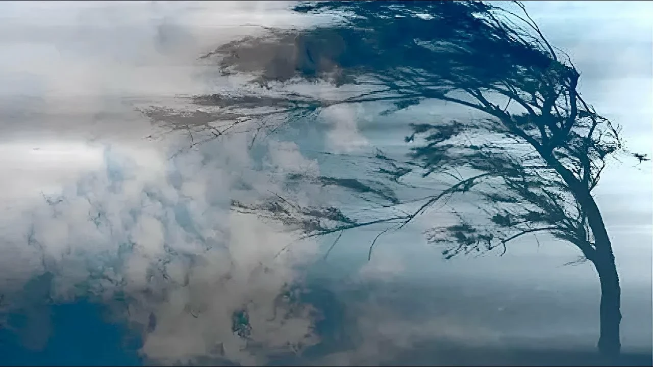 🌪️ БУРЯ НА ГОРИЗОНТЕ? ПАМЯТКА НА СЛУЧАЙ СИЛЬНОГО ВЕТРА! 🌪️
