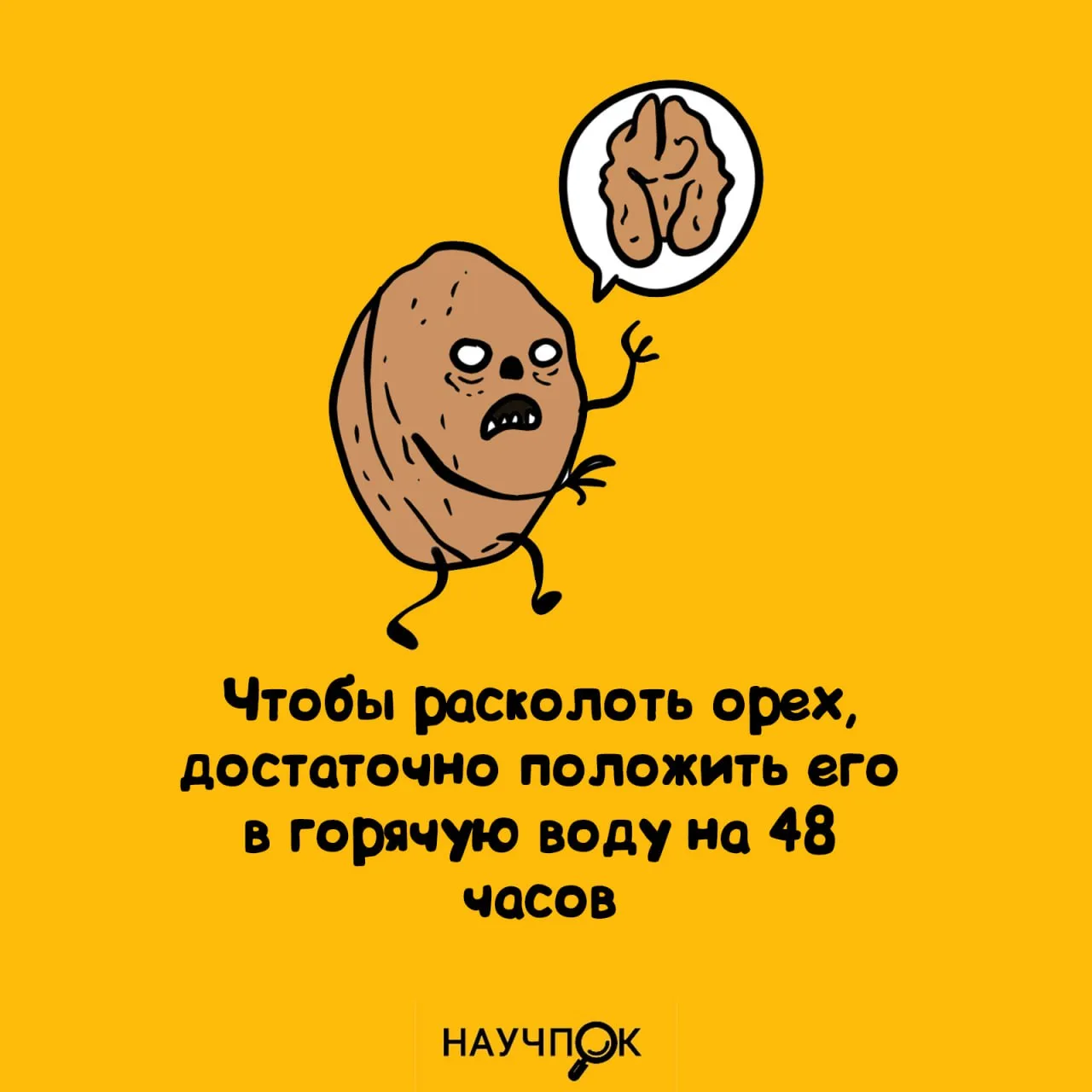 Научпок | Подписаться