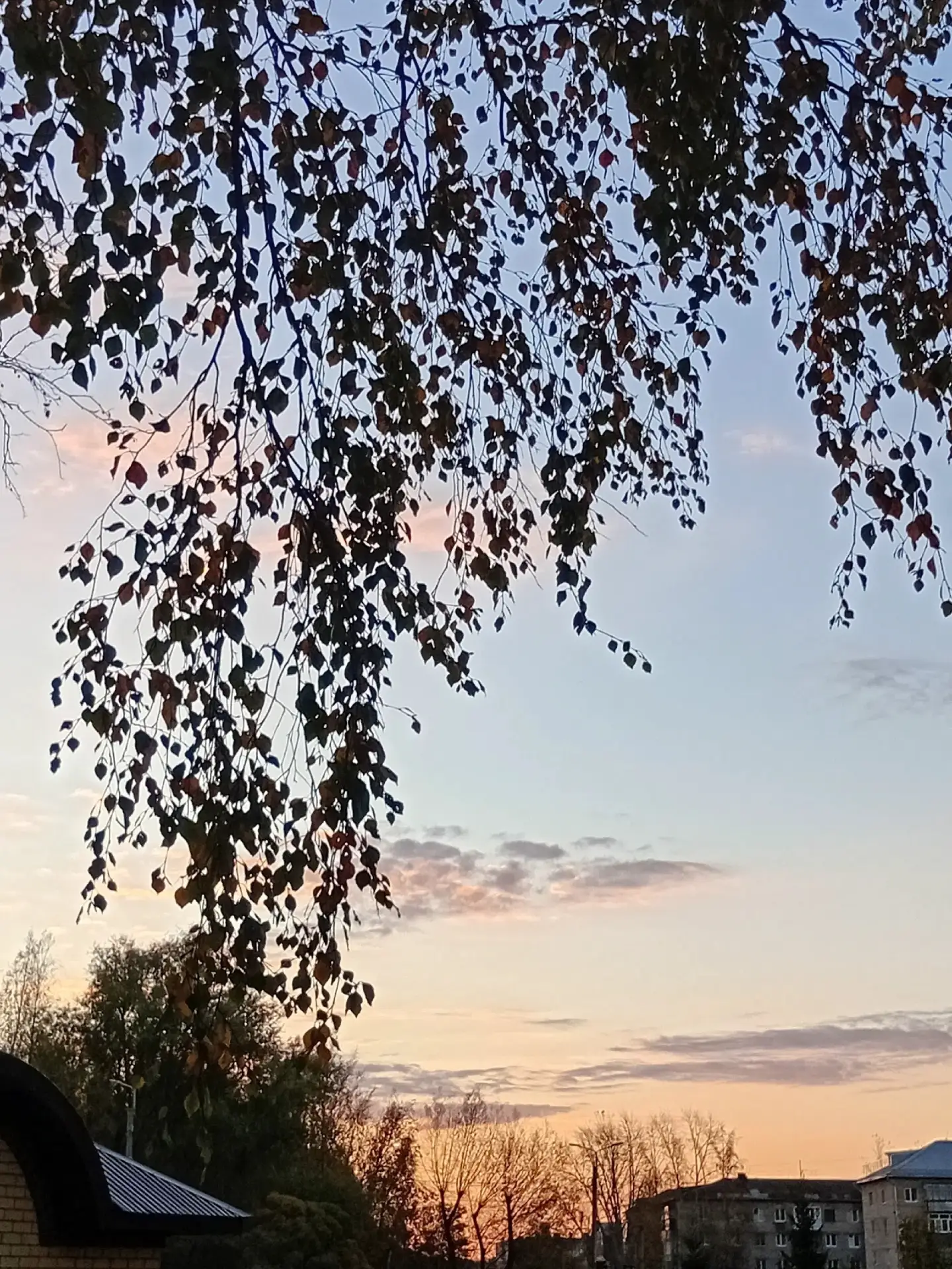 Доброе утро! 🌞