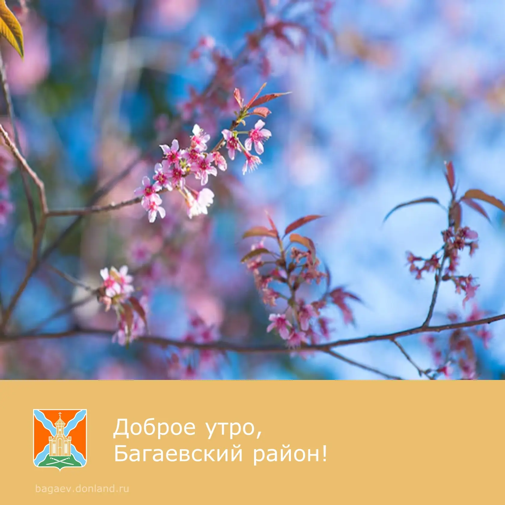 ☀️ Доброе утро, уважаемые жители Багаевского района!  ✅ Прекрасного воскресного дня.  #доброеутро #Б