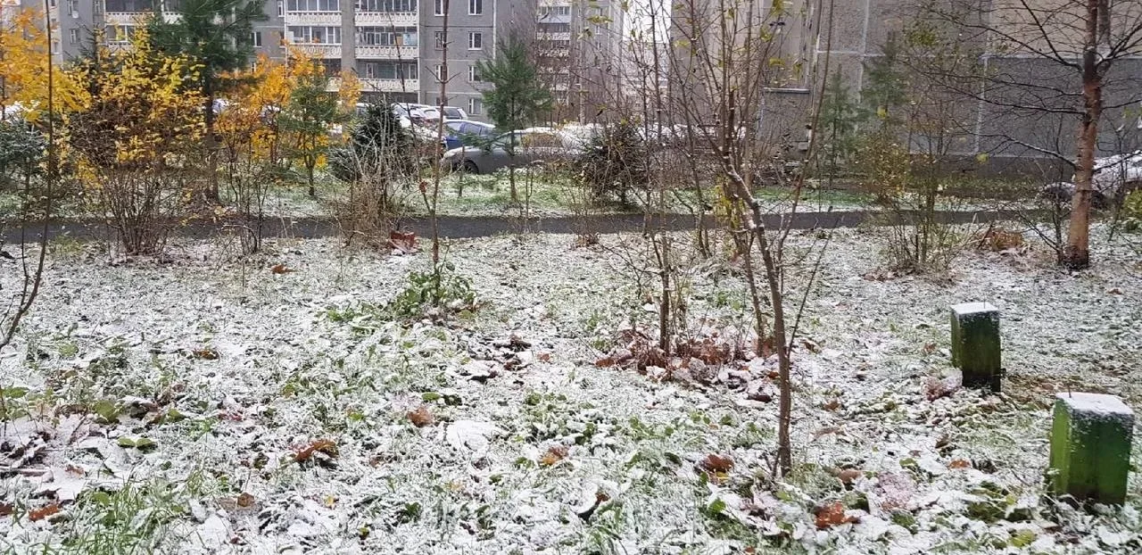 Синоптики прогнозируют, что на следующей неделе в Петрозаводск, Санкт-Петербург и Ленин...