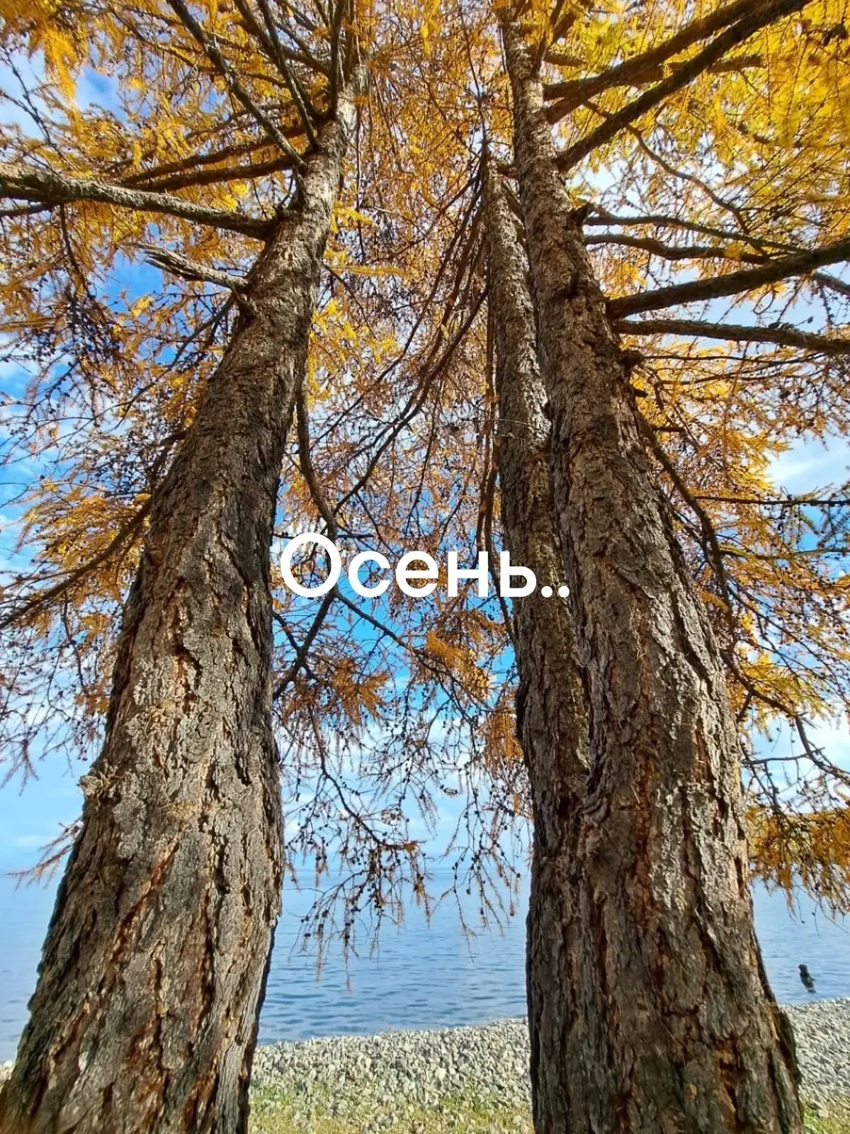 💬"Осень..."