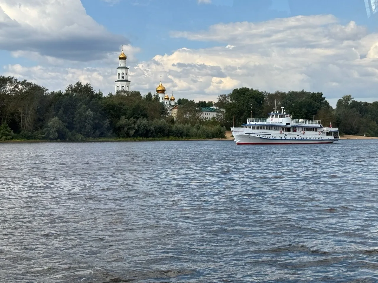 🌿 Природа — не фон для сторис, а наш общий дом

Мы привыкли видеть леса и реки как красивый фон для