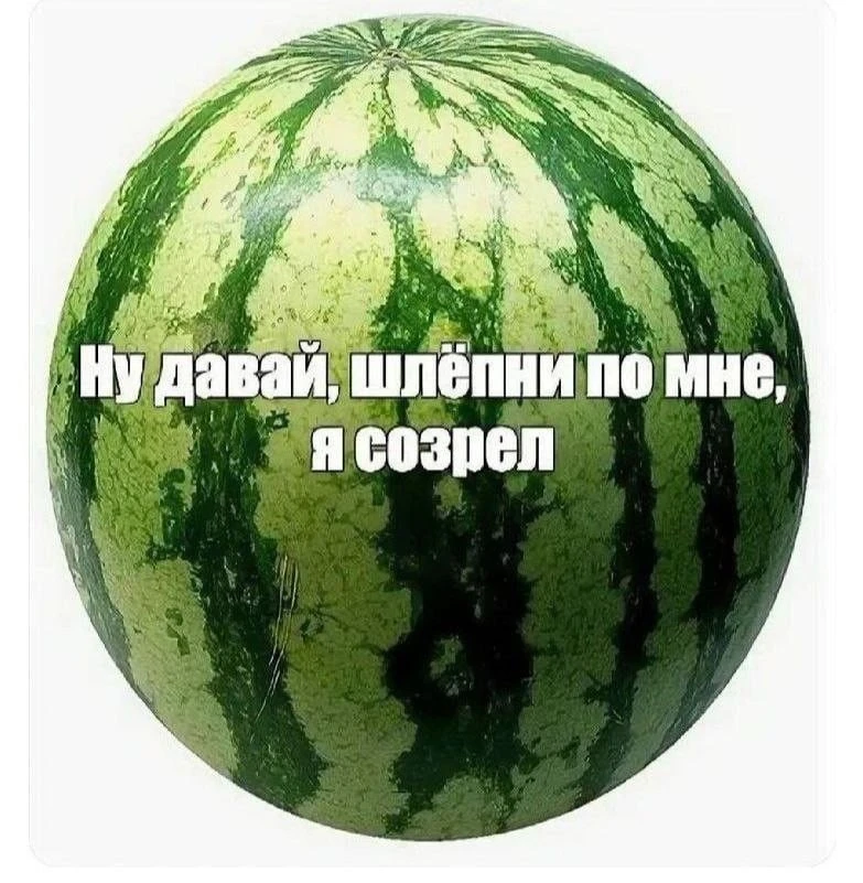 В Екатеринбурге начали продавать первые арбузы — не спешите с покупкой.

Самыми вкусными и безопасны