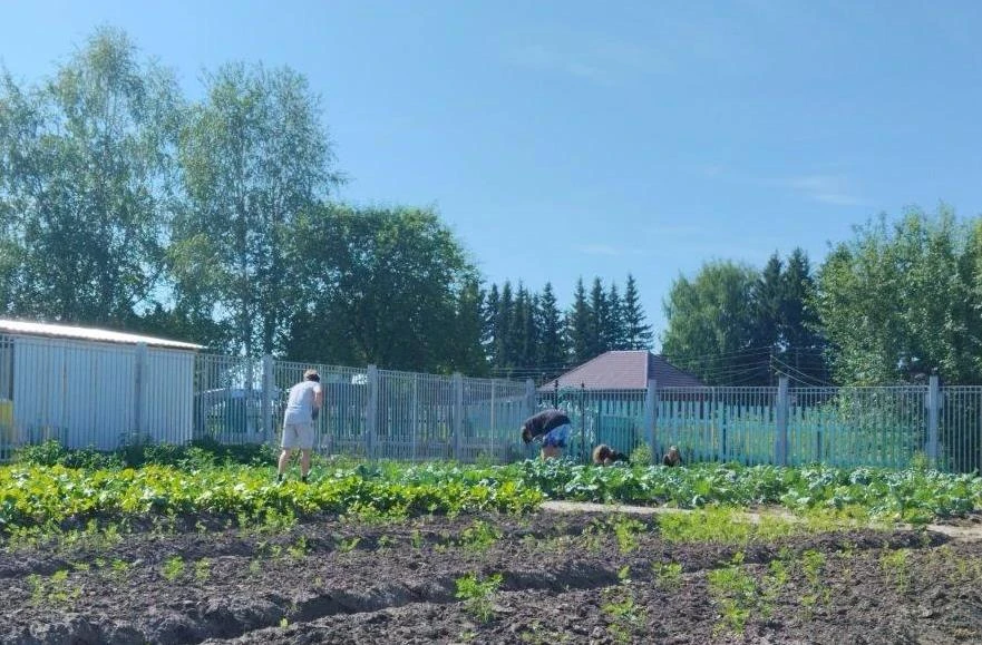 Вот оно какое - наше лето трудовое!☀