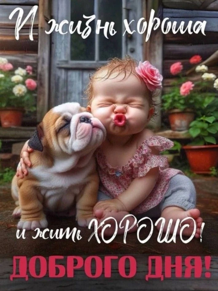 Солнечного утра!☀️  Я - Пенсионер✅