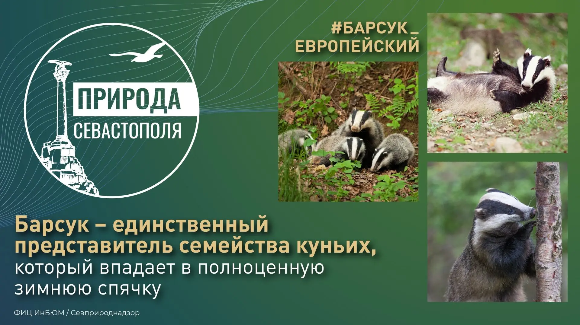 #ПриродаСевастополя