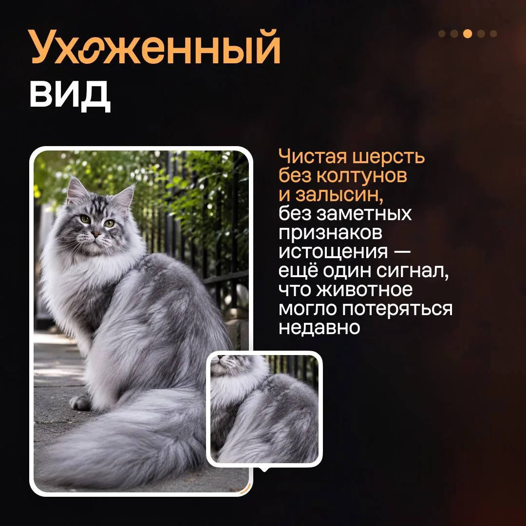 Изображение 4 к публикации «Авито для бизнеса»