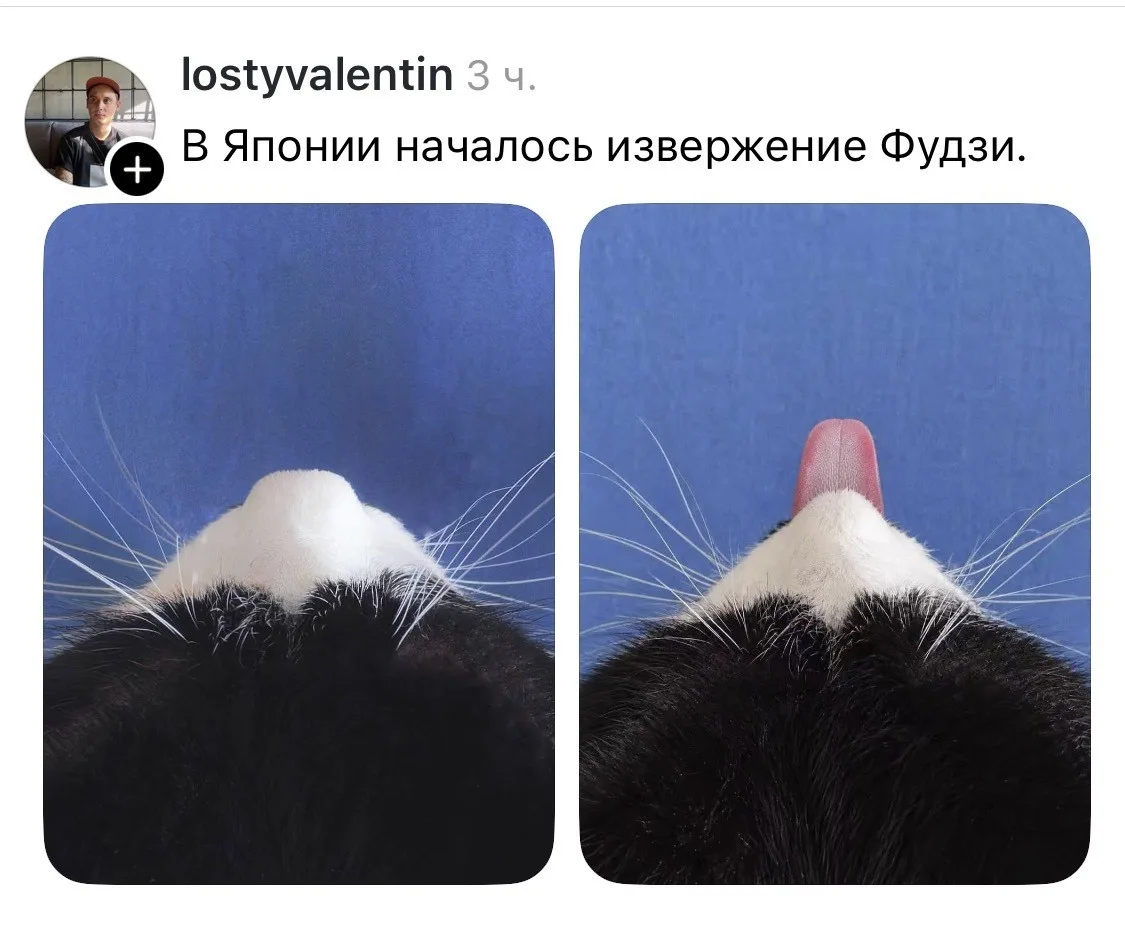 Срочно