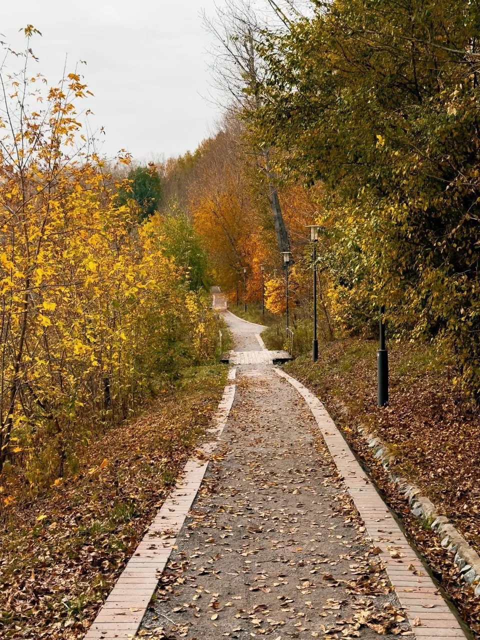 Решил напомнить вам, как выглядит золотая осень в Братеево 🍁