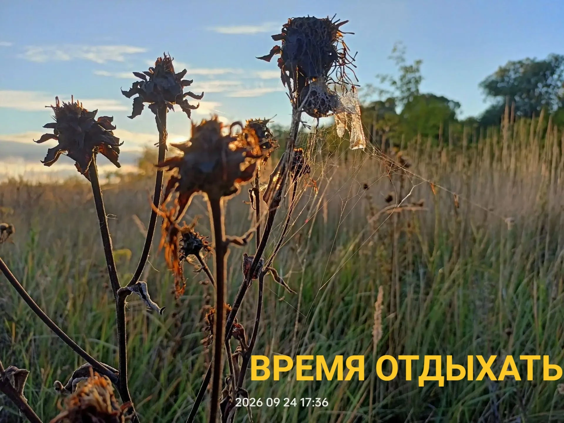 С ДОБРЫМ УТРОМ, ПОДГОРЕНЦЫ!