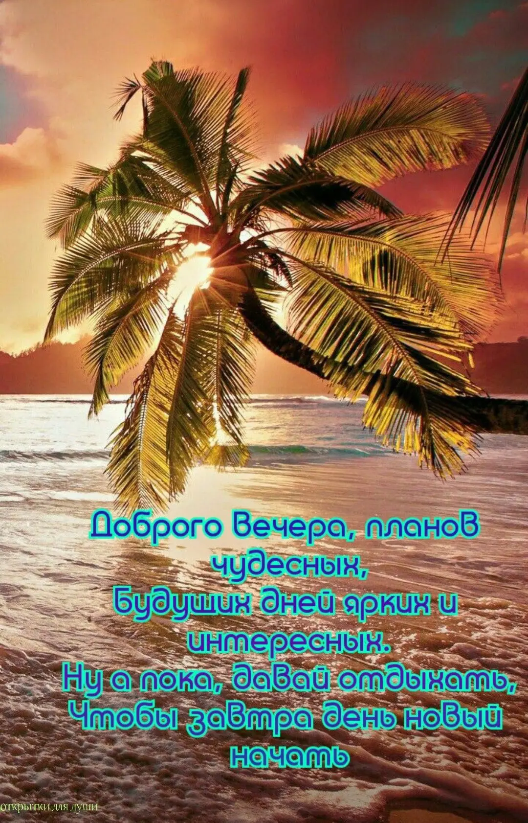 Хорошего вечера! Приятного отдыха! ✨💐