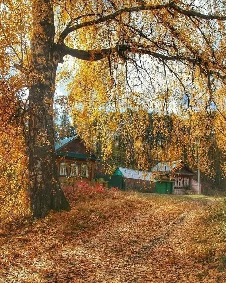 Листья кружатся в медленном, тихом вальсе,