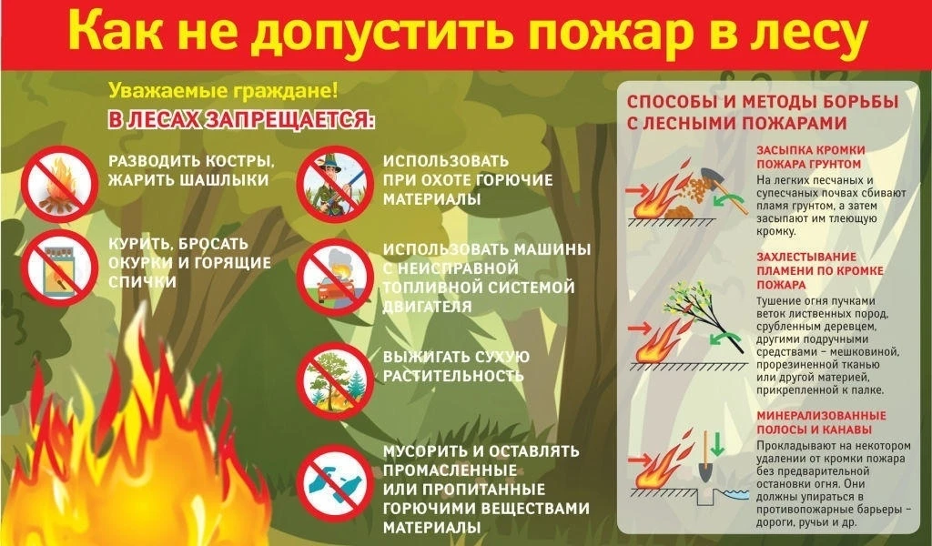 🚫Лесные пожары — это катастрофа, предотвратить которую в силах каждого. Чтобы не стать...