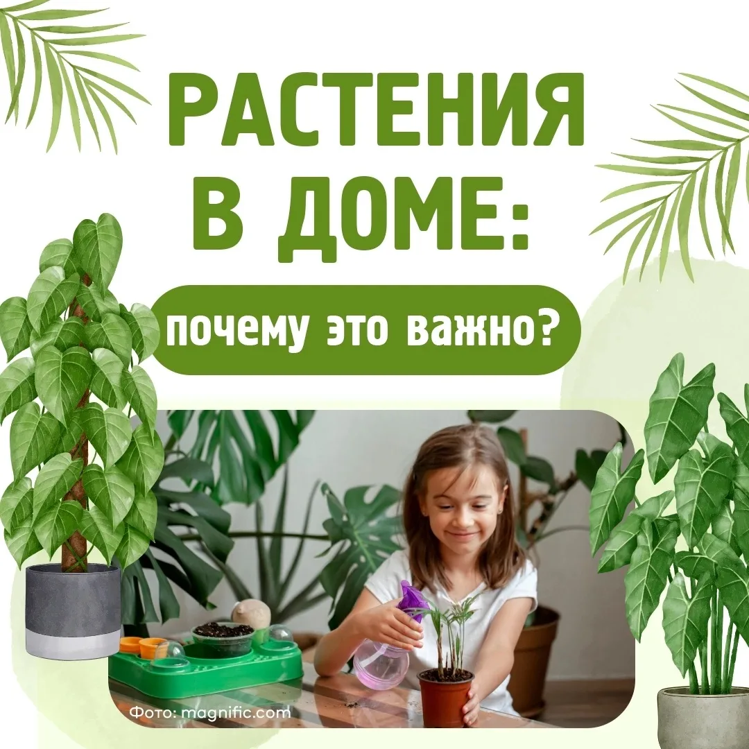 Комнатные растения — это не просто украшение интерьера🌿

🪴Растения помогают создать здоровую среду
