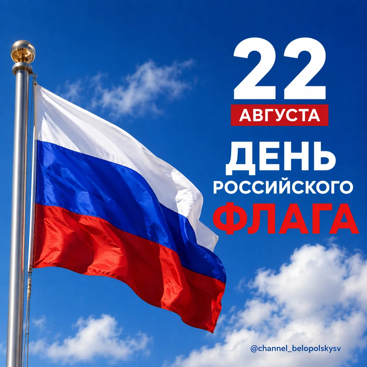 🇷🇺 Сегодня мы отмечаем День Государственного флага Российской Федерации – одного из г...