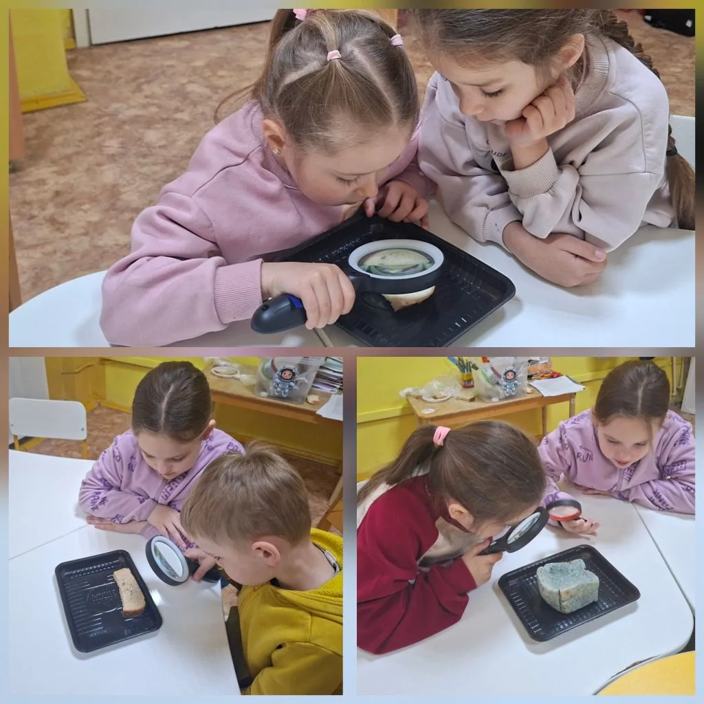 🔬 Эколоша: Невидимые помощники и враги!