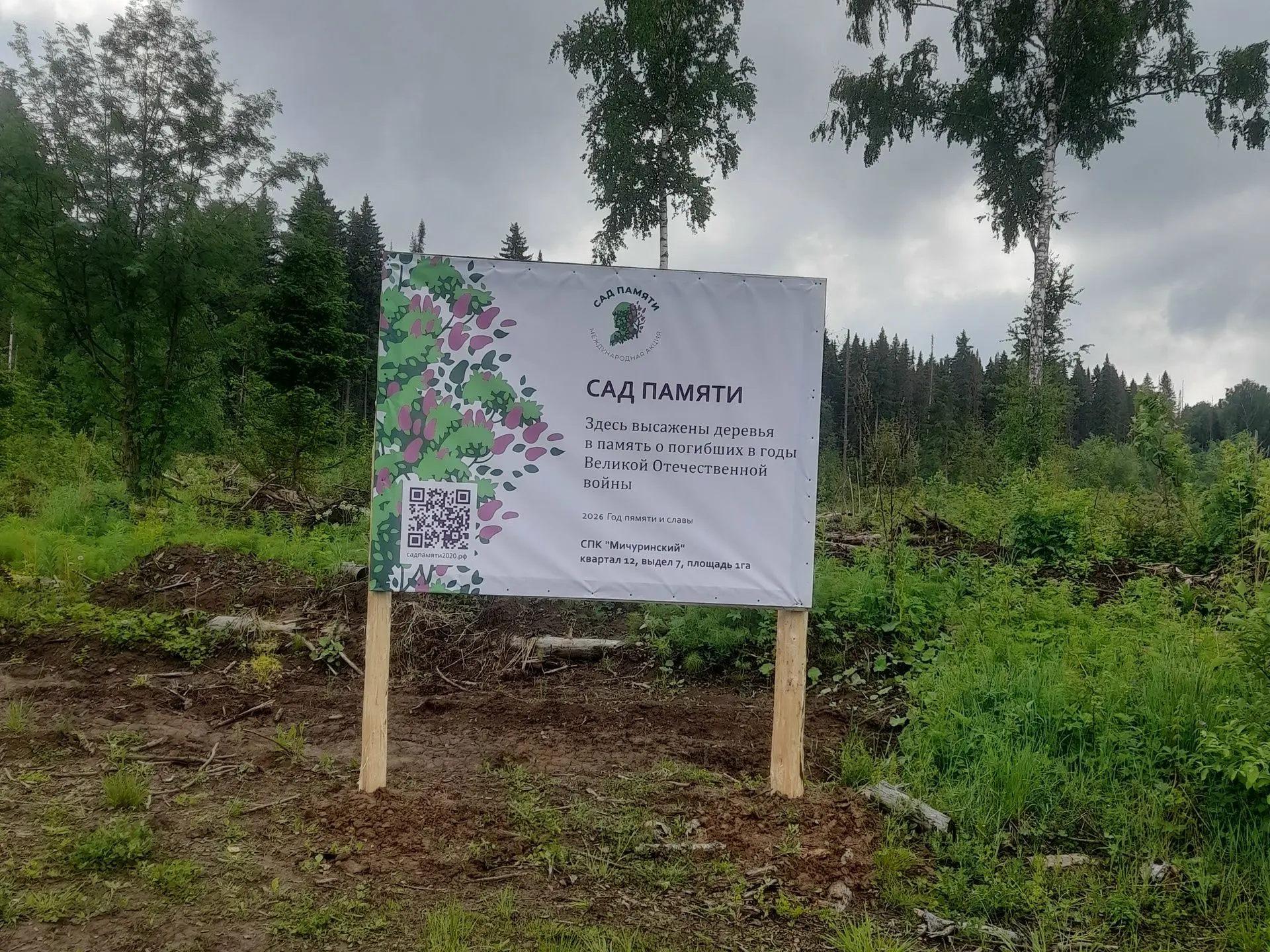 🌲 В Кишертском лесничестве продолжается высадка деревьев в рамках международной акции «Сад памяти».