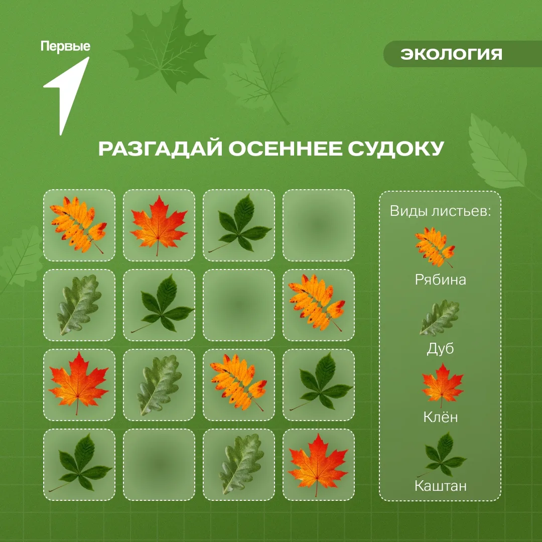 Осенняя головоломка для юннатов Первых: проверь логику и наблюдательность! 🍁🧩