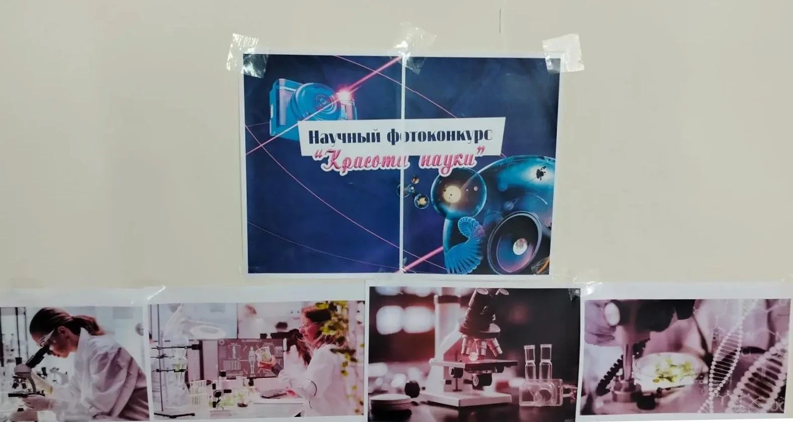 15 июня в Доме культуры хутора Тихомировка прошел Научный фотоконкурс «Красота науки». Мероприятие с