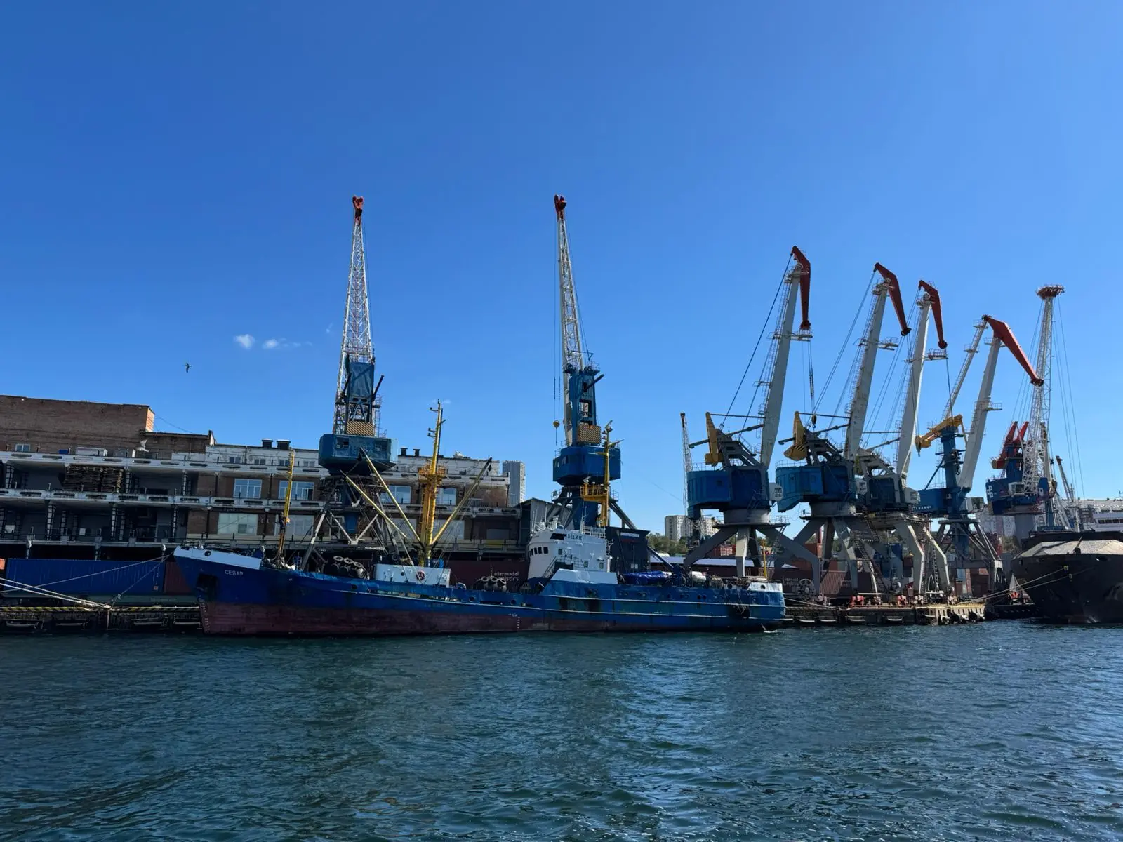 🐟В Приморье и на Сахалине Россельхознадзором на экспорт оформлено 433 партии рыбы и морепродуктов.
