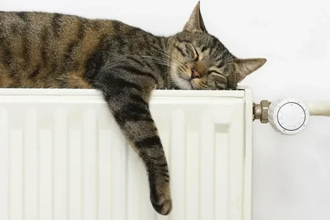🔥 Отопительный сезон в Калининграде: как город готовится к холодам 🔥