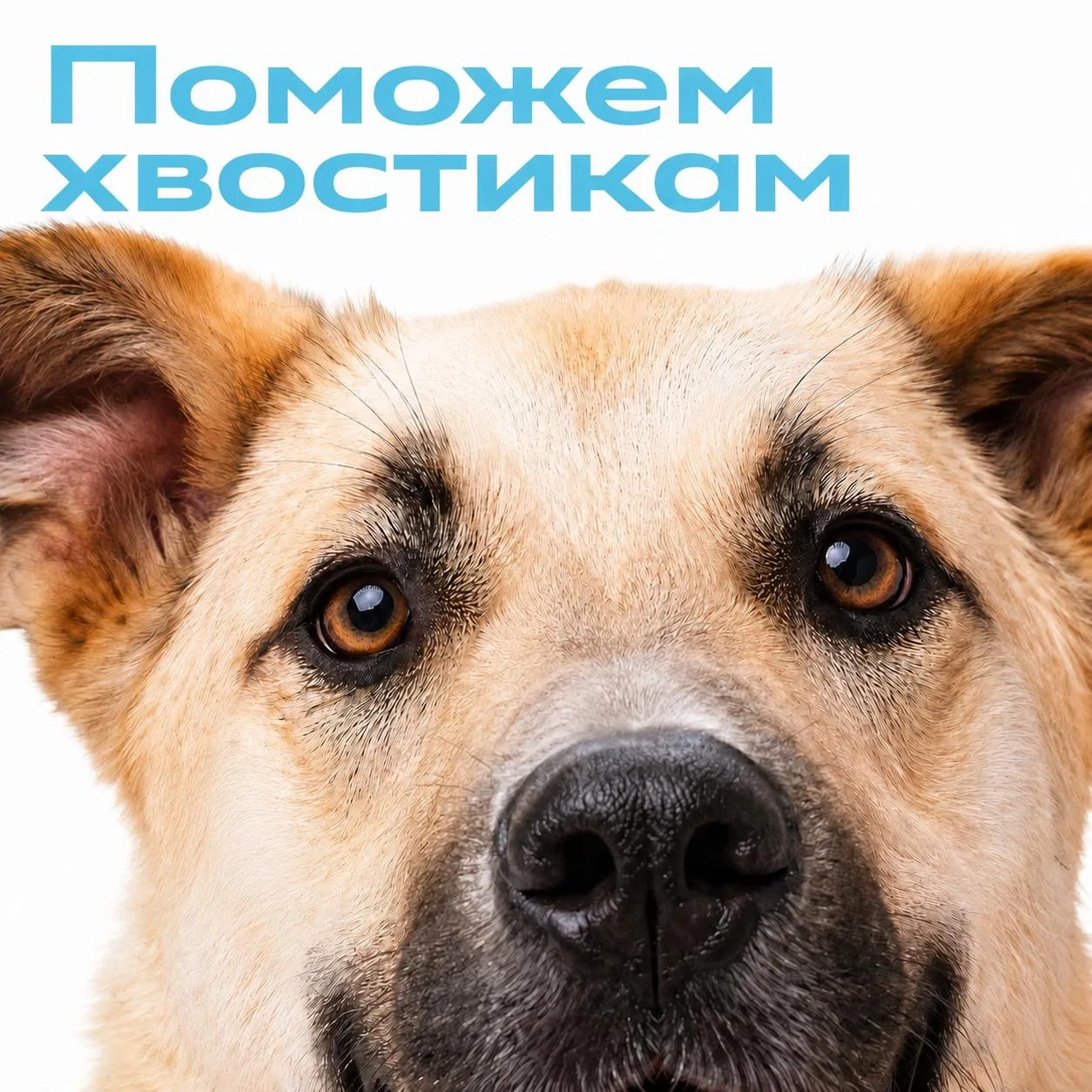 Изображение 1 к публикации «Сбер»