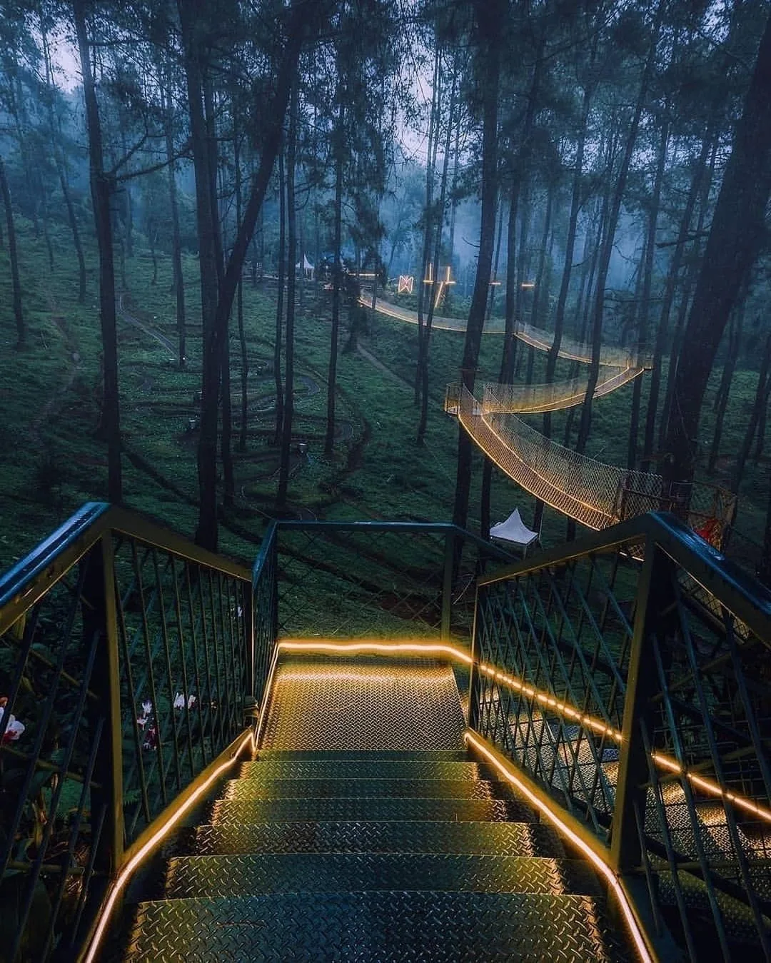 Место из твоих снов 🌲✨
