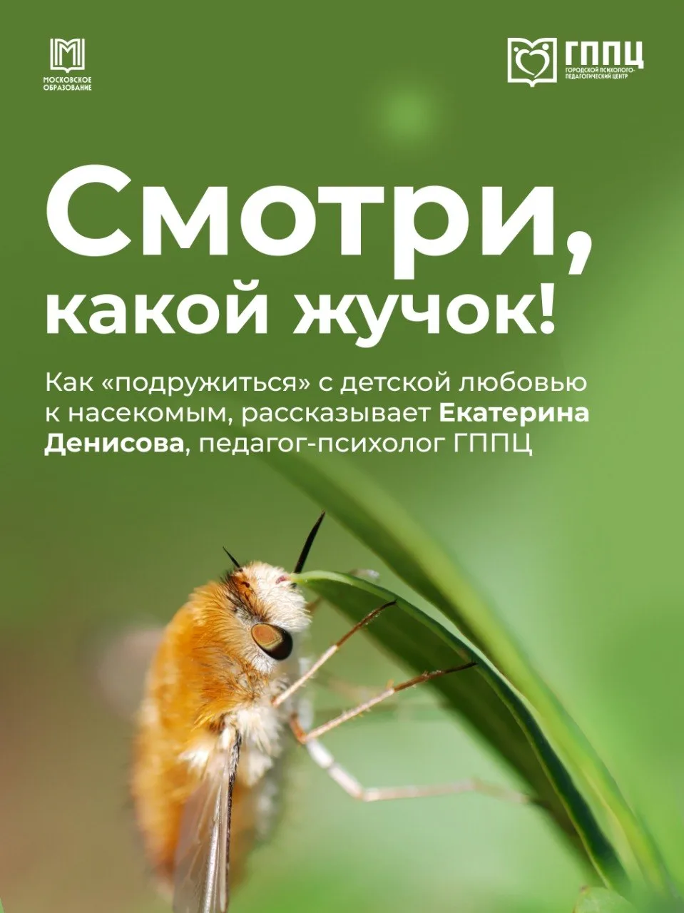 🐛  Вдох-выдох, это просто жучок