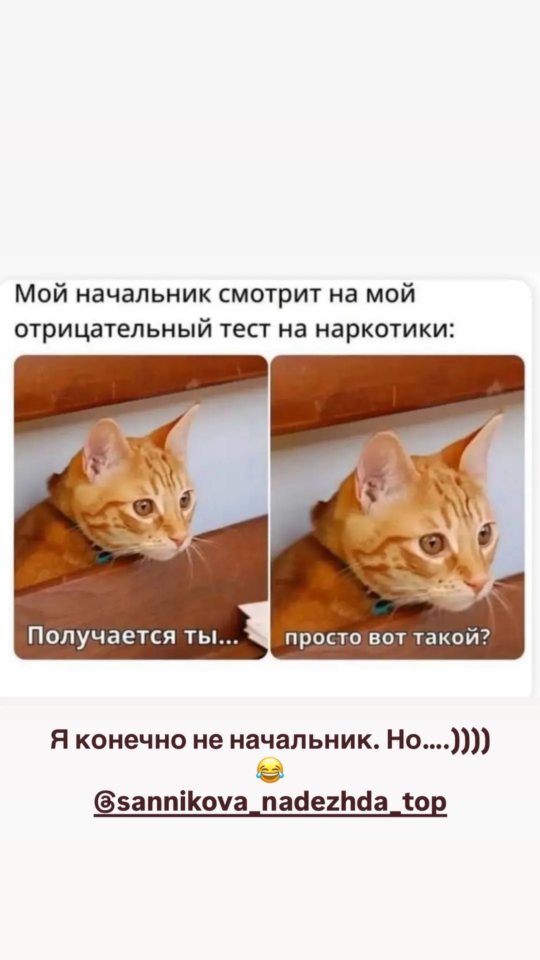 Я: зачем так жить если суетиться?