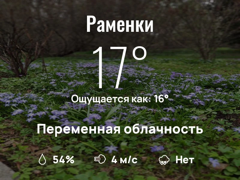 Что с погодой в Раменках?