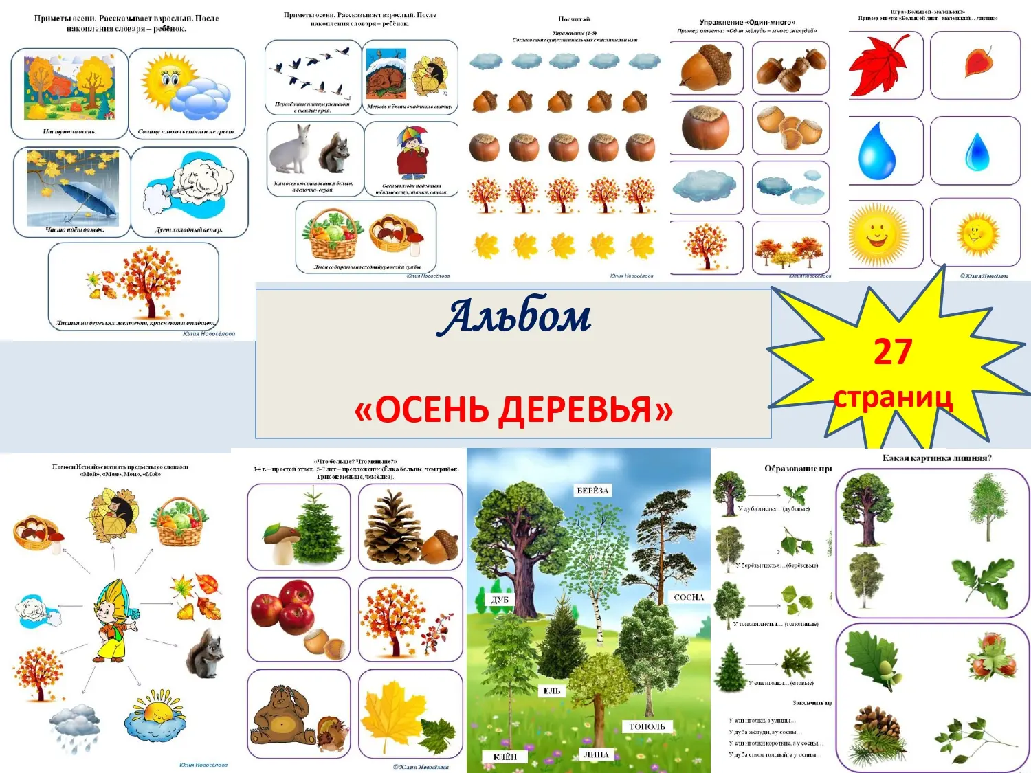 Альбом для индивидуальной работы по лексической теме «Осень. Деревья»

150 рублей

Упражнения:
• При